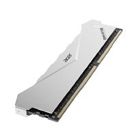 COMPONENTES ( OEM ) MEMORIAS BIWIN ACER